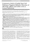 Comparative Study of Limbal Stem Cell Deficiency Diagnosis Methods