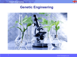 Genetic Engineering - Albert