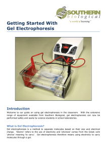 Getting Started With Gel Electrophoresis
