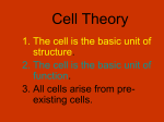 CELL WALL - Winona ISD