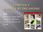 Animals as Organisms chapter_2_animals_as_organisms