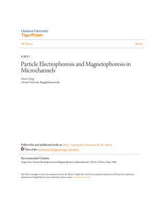 Particle Electrophoresis and Magnetophoresis in