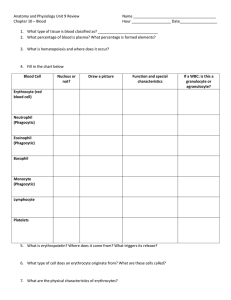 Anatomy and Physiology Unit 9 Review