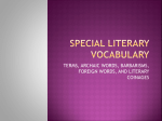 Special Literary Vocabulary