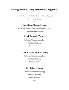 Master thesis - Cairo University Scholars