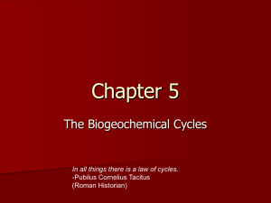 Chapter 5 Powerpoint Slides