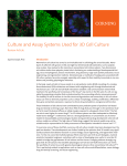 Culture and Assay Systems Used for 3D Cell Culture