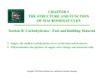 CHAPTER 5 THE STRUCTURE AND FUNCTION OF
