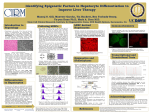 Identifying Epigenetic Factors in Hepatocyte Differentiation to