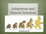 Adaptation and Natural Selection