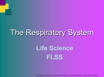 L7 - Respiratory system - Moodle