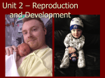 Human Reproduction