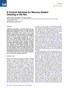 A Cortical Substrate for Memory