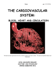 svhs advanced biology cardiovascular system