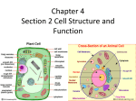 Chapter 4 Section 2 Cell Structure and Function