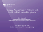 Pituitary Adenomas in Patients with Multiple Endocrine Neoplasia