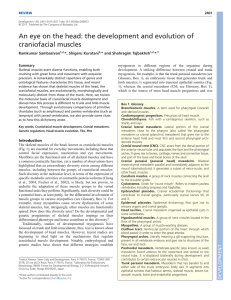 the development and evolution of craniofacial muscles