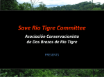 Save the Rio Tigre! - Melton Engineering Services Austin