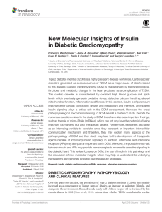 New Molecular Insights of Insulin in Diabetic Cardiomyopathy
