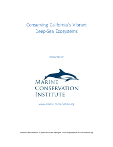 Conserving California`s Vibrant Deep-Sea Ecosystems