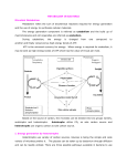 METABOLISM IN BACTERIA Microbial Metabolism Metabolism