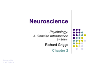 Griggs_Chapter_02_Neuroscience