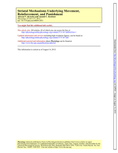 Reinforcement, and Punishment Striatal Mechanisms Underlying