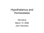 Hypothalamus and Homeostasis