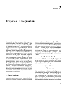 Enzymes II: Regulation