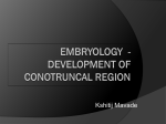 Embryology conotruncal region DR KSHITIJ