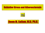 Oxidative stress and diseases