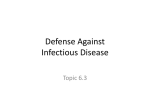 Topic 6.3 Defense