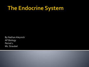 The Endocrine System