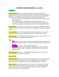 SUMMARY TERMS-Thoracic Cavity