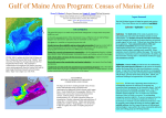 Evan D. Richert - Census of Marine Life Secretariat