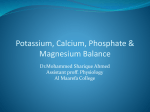 Potassium balance