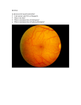 RETINA Oral question..