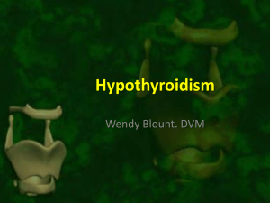 Hypothyroidism - Wendy Blount, DVM