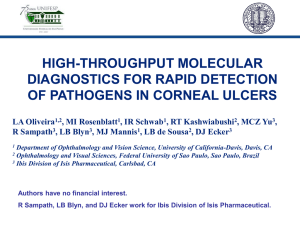 297: High-Throughput Molecular Diagnostics for Rapid Detection of
