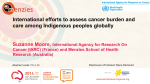 International efforts to assess cancer burden and care among