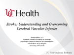 Stroke: Understanding and Overcoming Cerebral Vascular