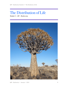 The Distribution of Life