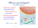 Central dogma