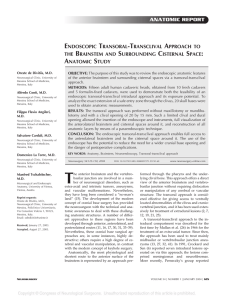 ANATOMIC REPORT