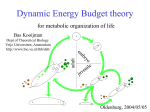 Dynamic Energy Budget theory - Vrije Universiteit Amsterdam
