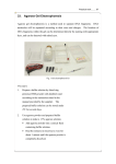 33. Agarose Gel Electrophoresis