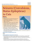 seizures_in_cats