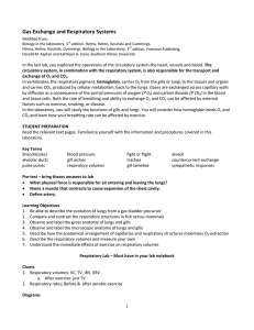 Gas Exchange and Respiratory Systems