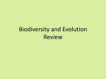 Biodiversity and Evolution Review