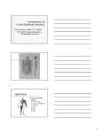 Introduction to Cross Sectional Anatomy ABDOMEN